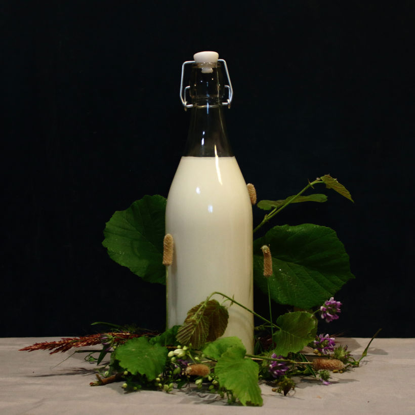 Natural Milk. Fotografía de producto. 4