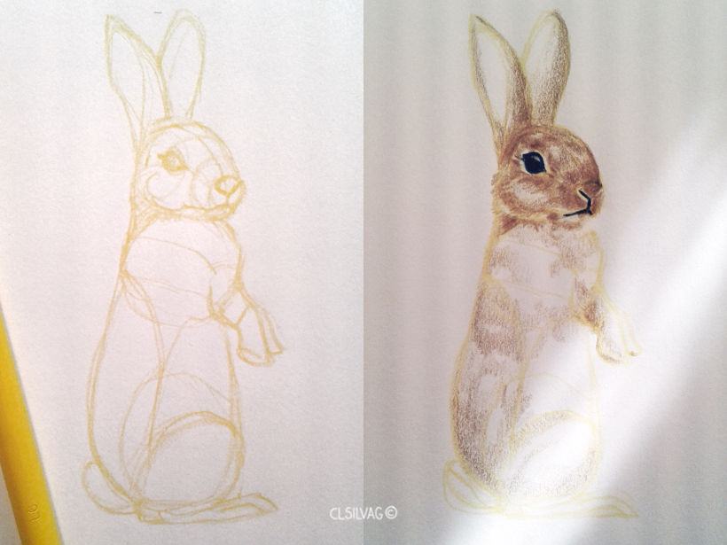 Rabbit Pattern Design  3