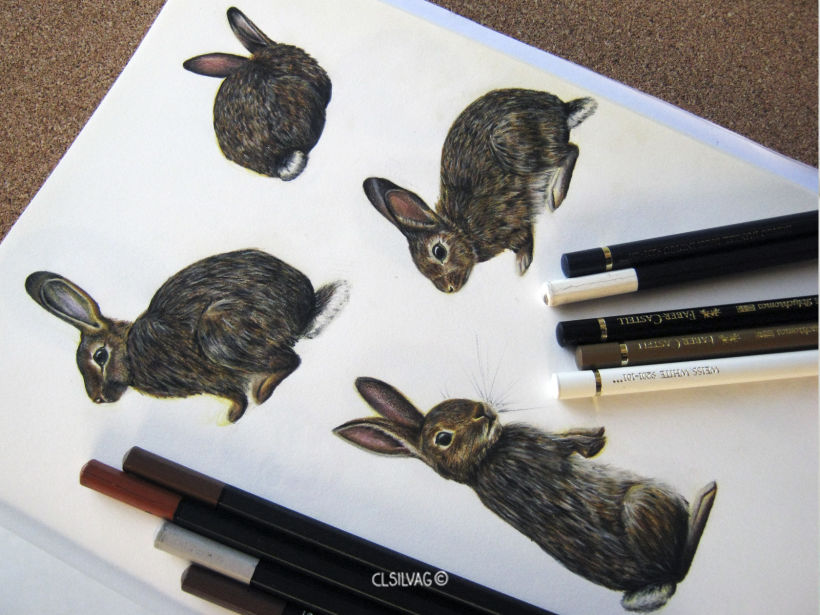 Rabbit Pattern Design  6
