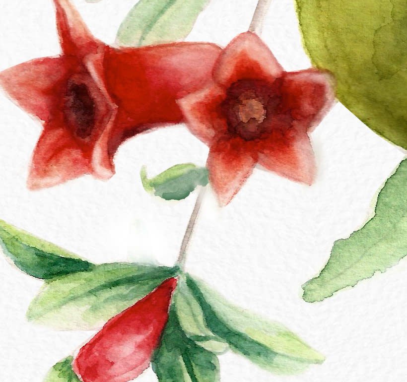 Mi Proyecto del curso: Ilustración botánica con acuarela 6