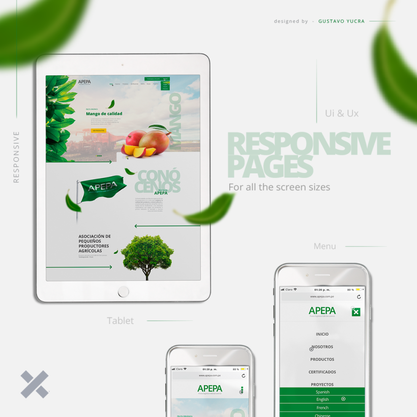 APEPA - Re Diseño de Web / Tablet - Frutos Orgánicos -1