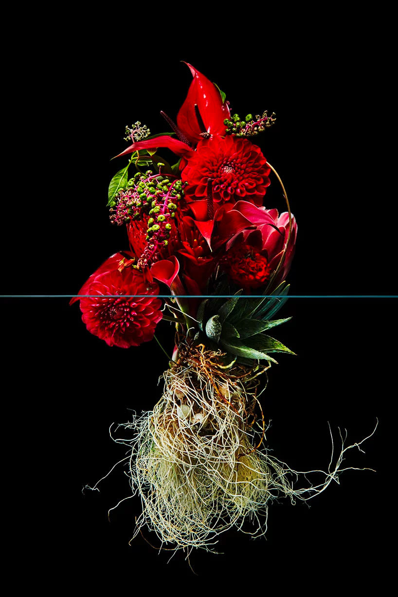 El contraste estético de las flores, por Azuma Makoto 6
