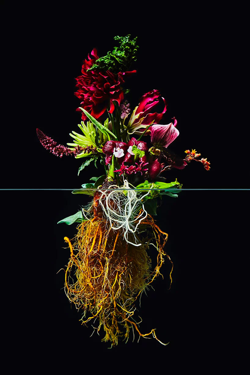 El contraste estético de las flores, por Azuma Makoto 9