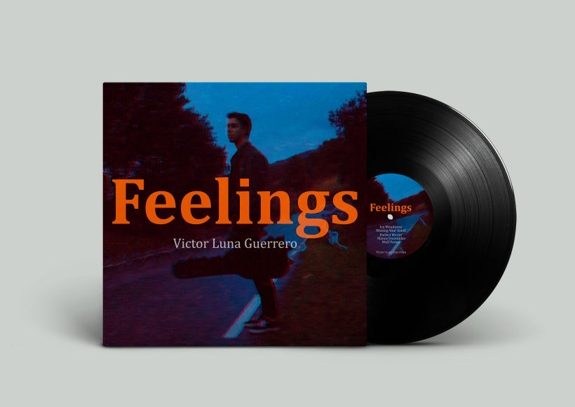 Feelings - Victor Luna Guerrero 1