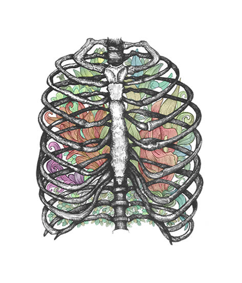 Anatomía viva... ilustrada 7