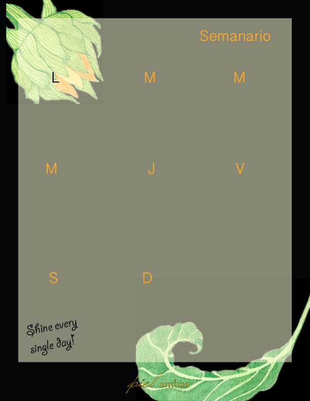 Mi Proyecto del curso: Ilustración botánica con acuarela-Girasol 3
