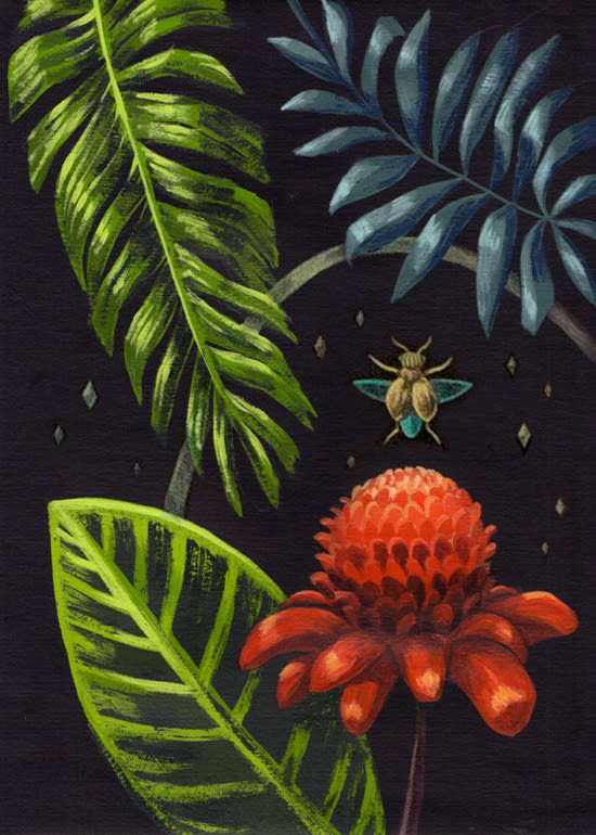 Pinturas Botánicas 1