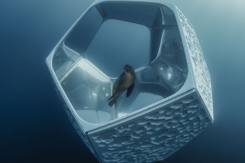 Caleidoscopios submarinos para salvar el océano  6