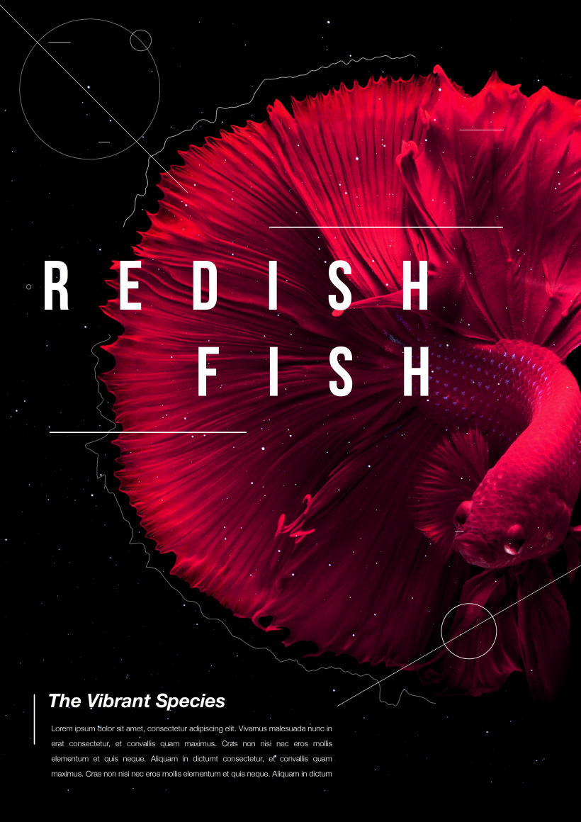 Poster Design  | The Vibrant Species series | -1