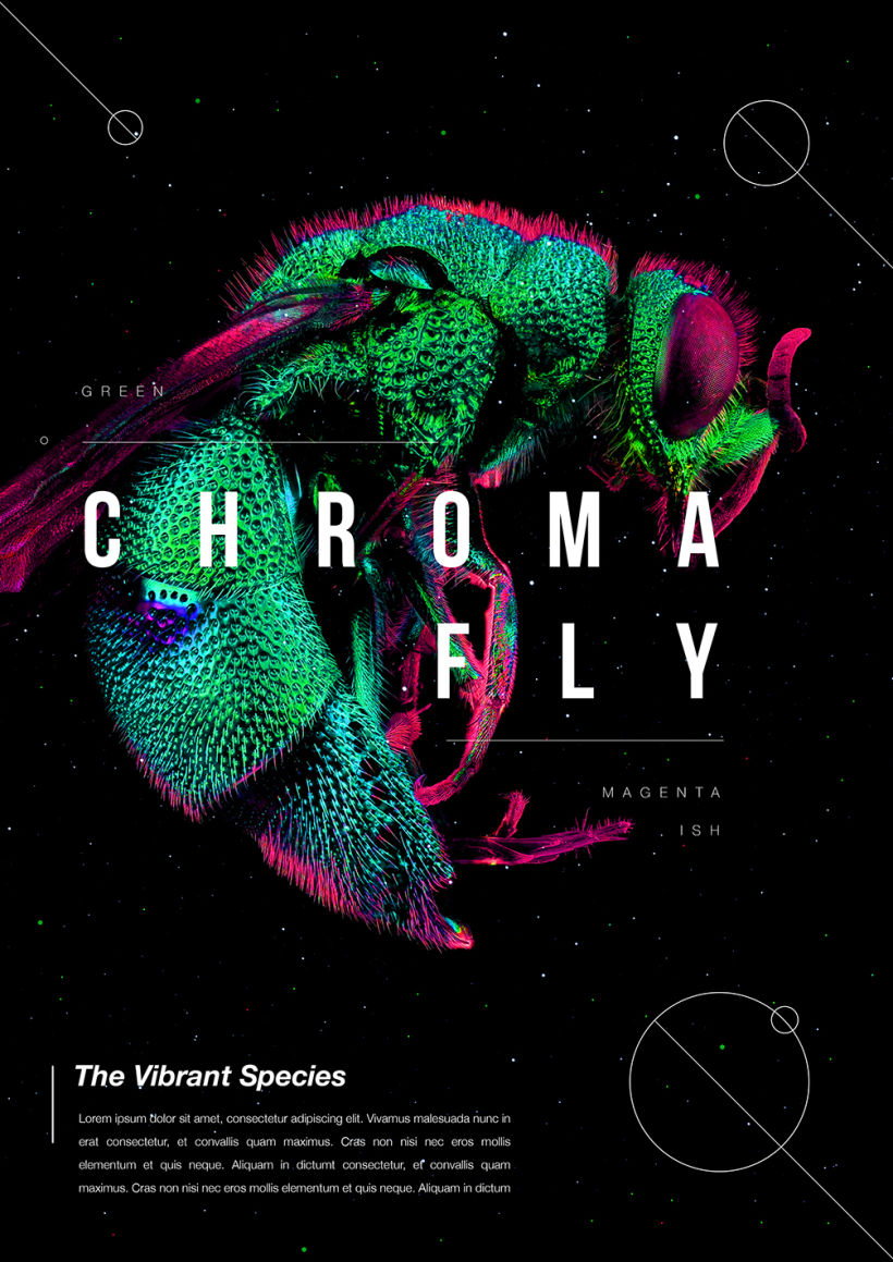 Poster Design  | The Vibrant Species series | 1