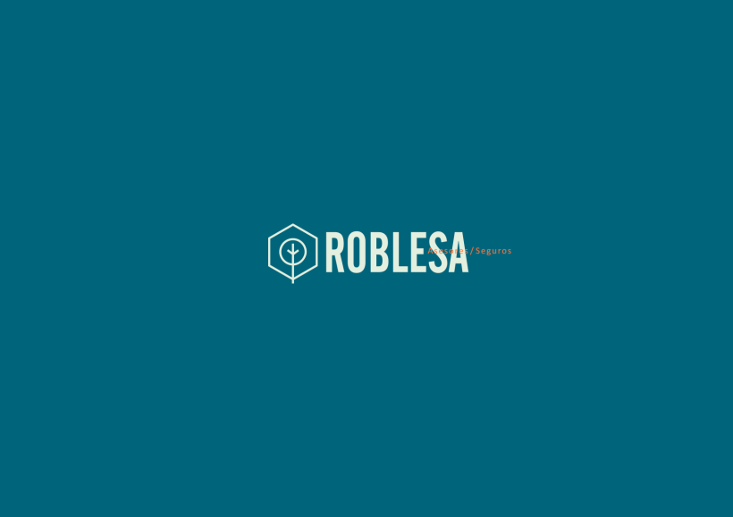 ROBLESA ASESORES 1