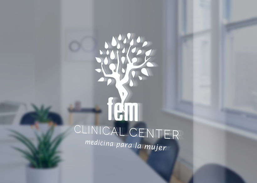 FEM Clinical Center 1