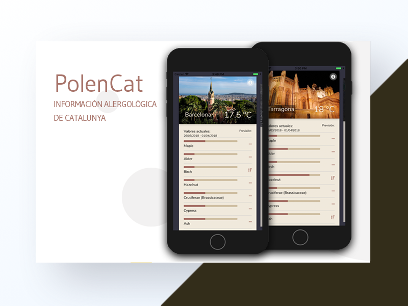PolenCat App React 0