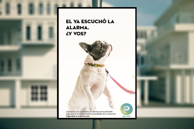 Campaña publicitaria de aplicación "Pet" 5