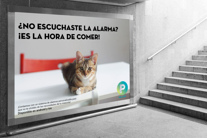 Campaña publicitaria de aplicación "Pet" 7