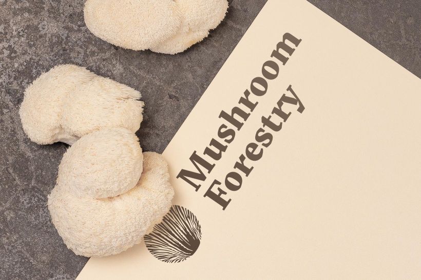 Mushroom Forestry (Logotipo) 1