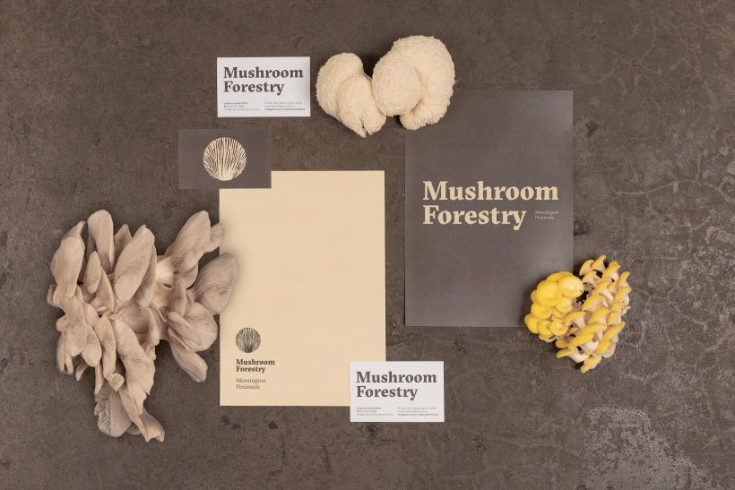 Mushroom Forestry (Logotipo) 14
