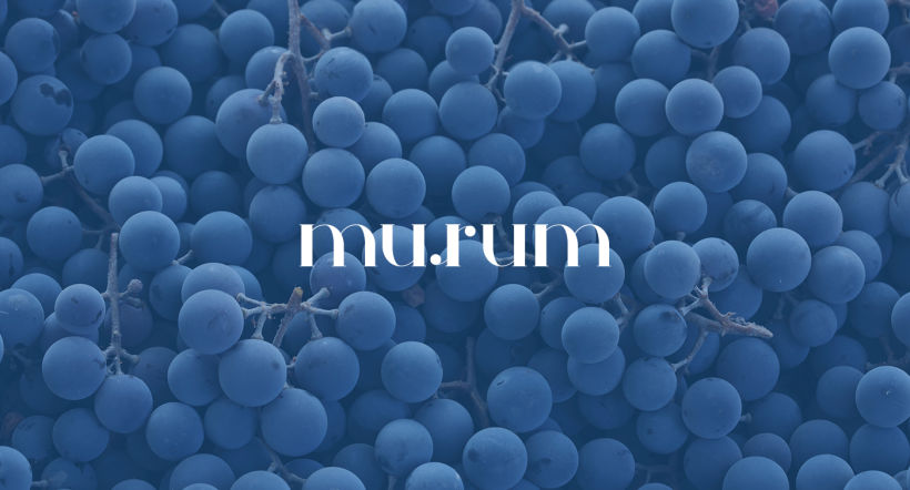 murum, vino de Ávila 0