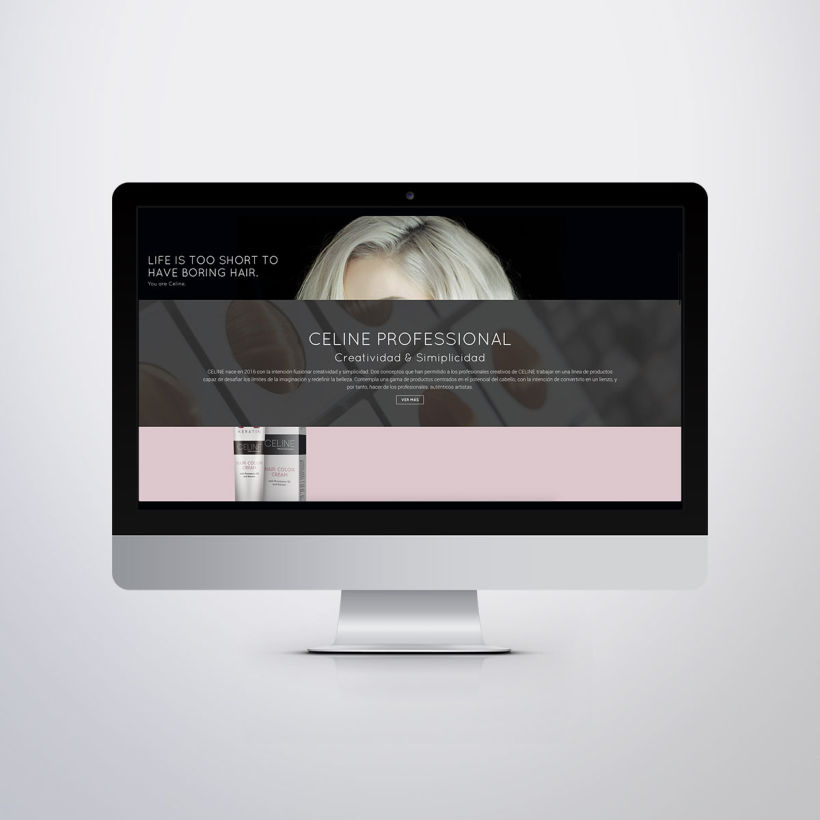 Diseño Web Celine Professional 3