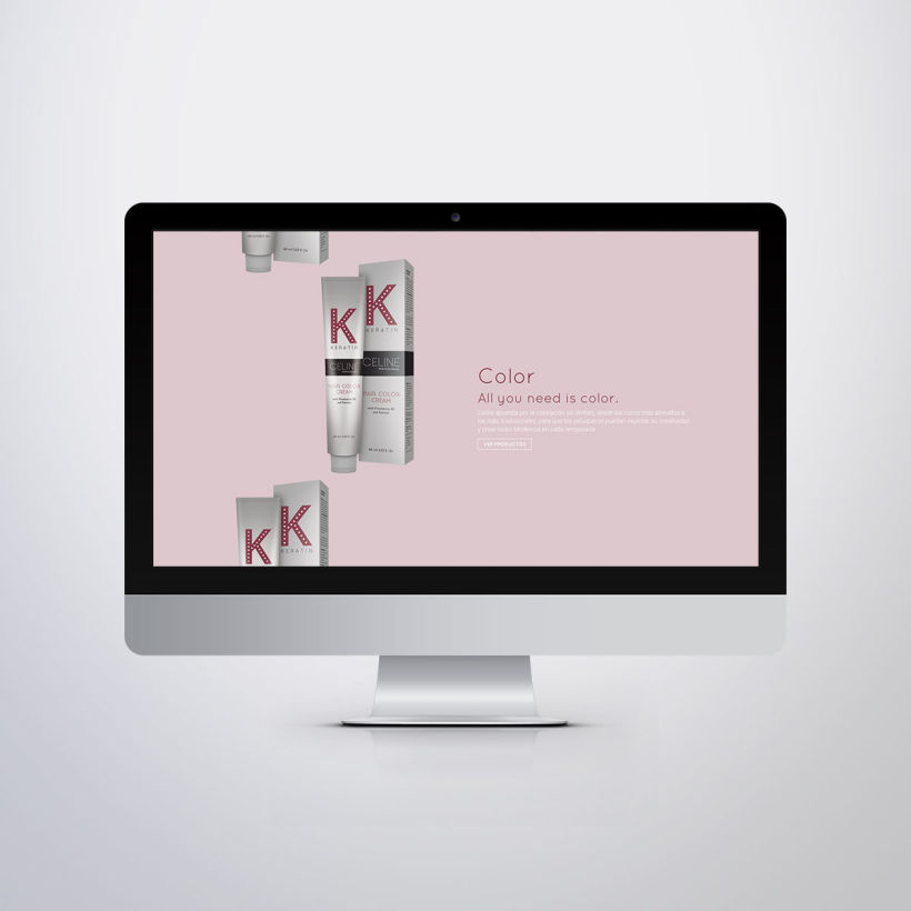 Diseño Web Celine Professional 4