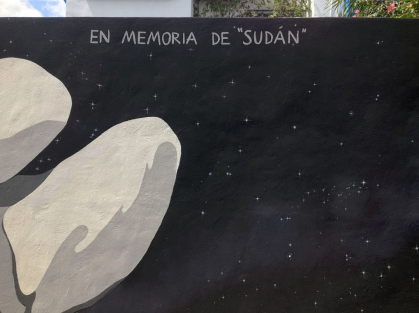 Proyecto Sudán / Mural 1