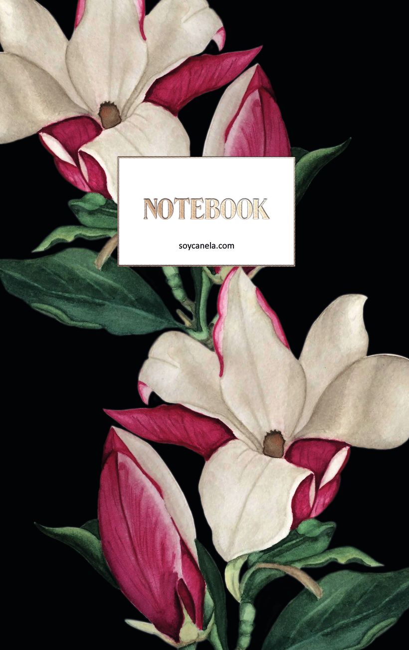 Papelería para proyecto de curso: Ilustración botánica con acuarela 2