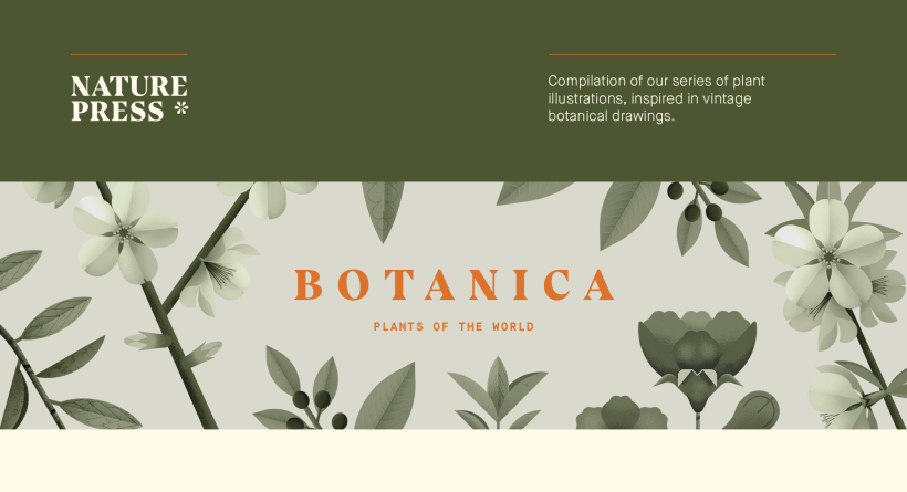 Botánica. Colección de ilustraciones de plantas. 0