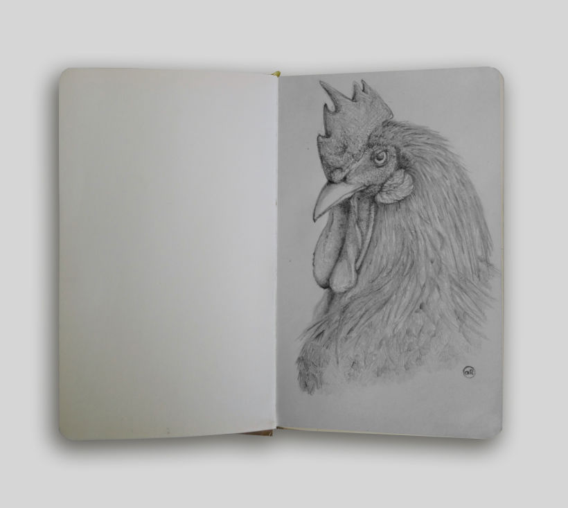 Sketch Book 2 2