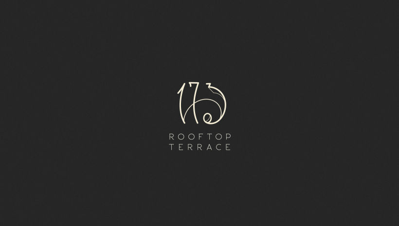 173 Rooftop Terrace -1