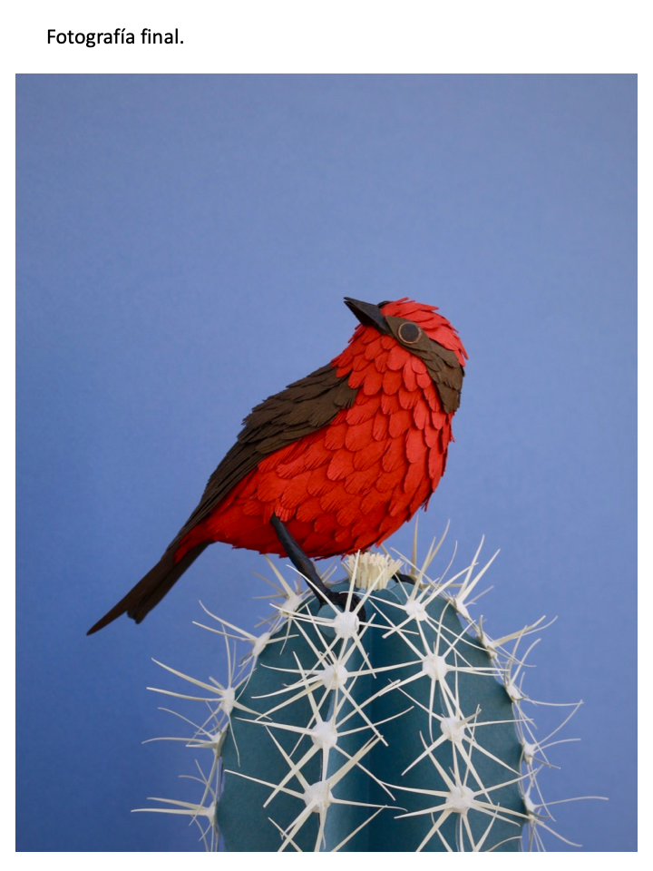 Mi Proyecto del curso: Petirrojo sobre cactus azulado 5