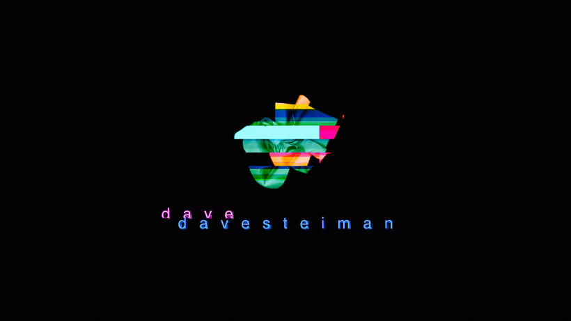 Dave Steiman - sample 2019 0