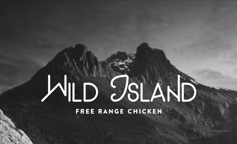 Wild Island . Diseño de logo + Concepto de Packaging 0