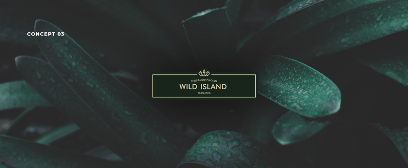 Wild Island . Diseño de logo + Concepto de Packaging 7