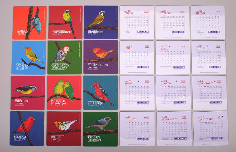 Calendario Aves de Medellín 14