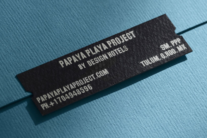 Papaya Playa Project 17