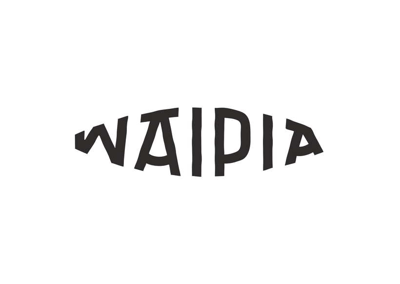 Waipia Surf Company 4