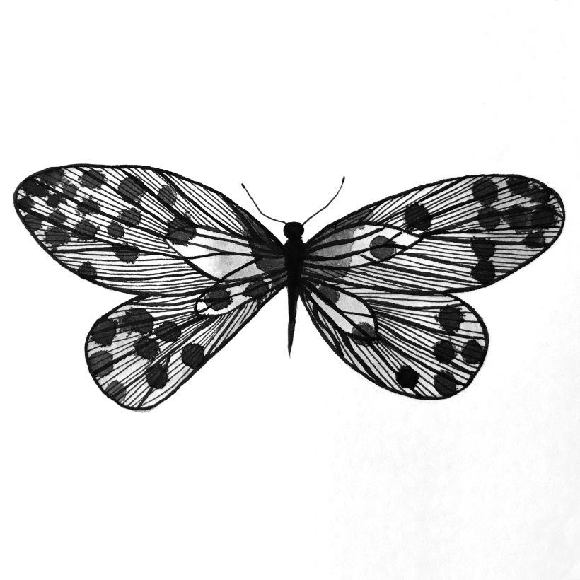 Black Mariposa • Proyecto personal • Ilustraciones con tinta china y rotulador 1