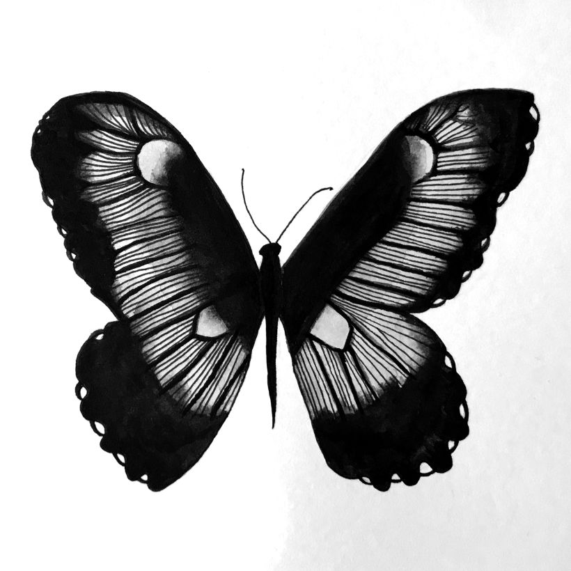Black Mariposa • Proyecto personal • Ilustraciones con tinta china y rotulador 2