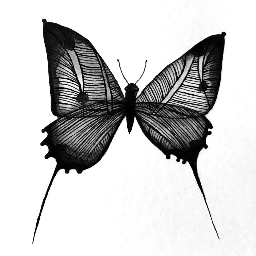 Black Mariposa • Proyecto personal • Ilustraciones con tinta china y rotulador 3