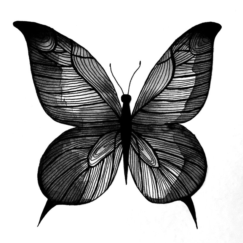 Black Mariposa • Proyecto personal • Ilustraciones con tinta china y rotulador 0