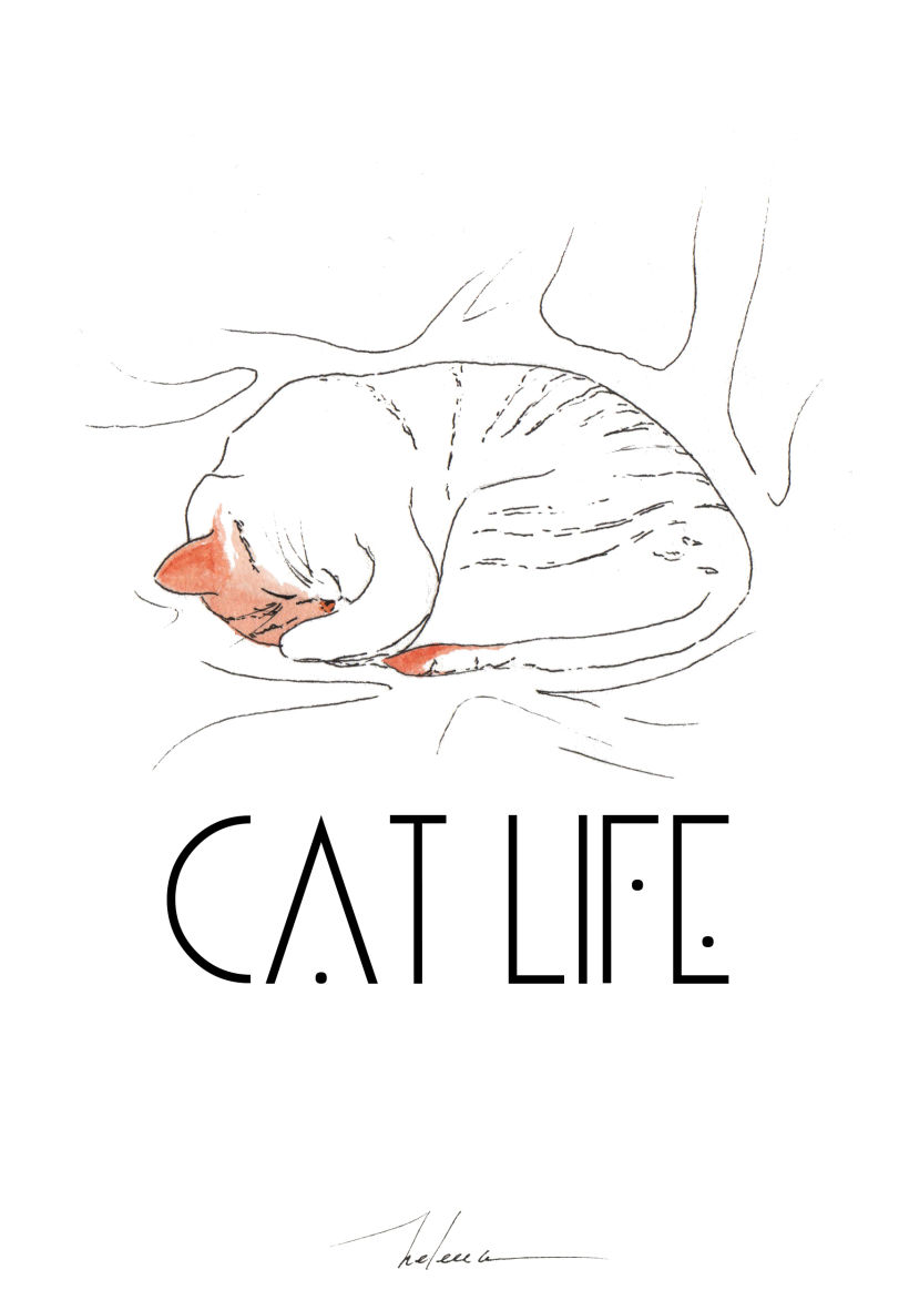 Cat Life -1