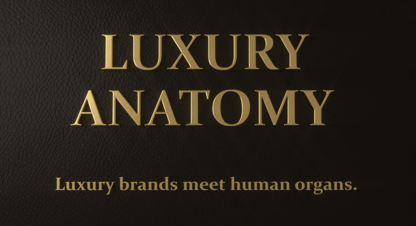 Luxury Anatomy 9