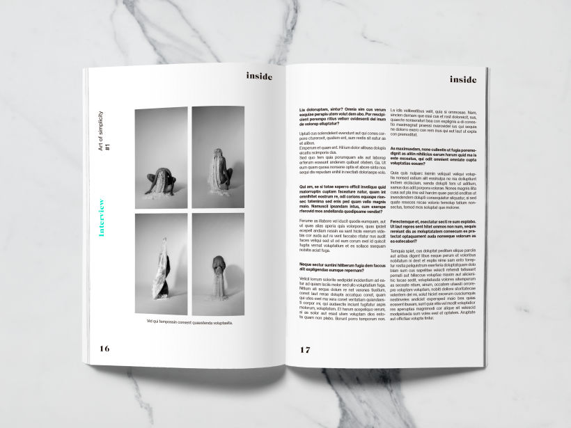 Mi Proyecto del curso: Introducción al diseño editorial 2