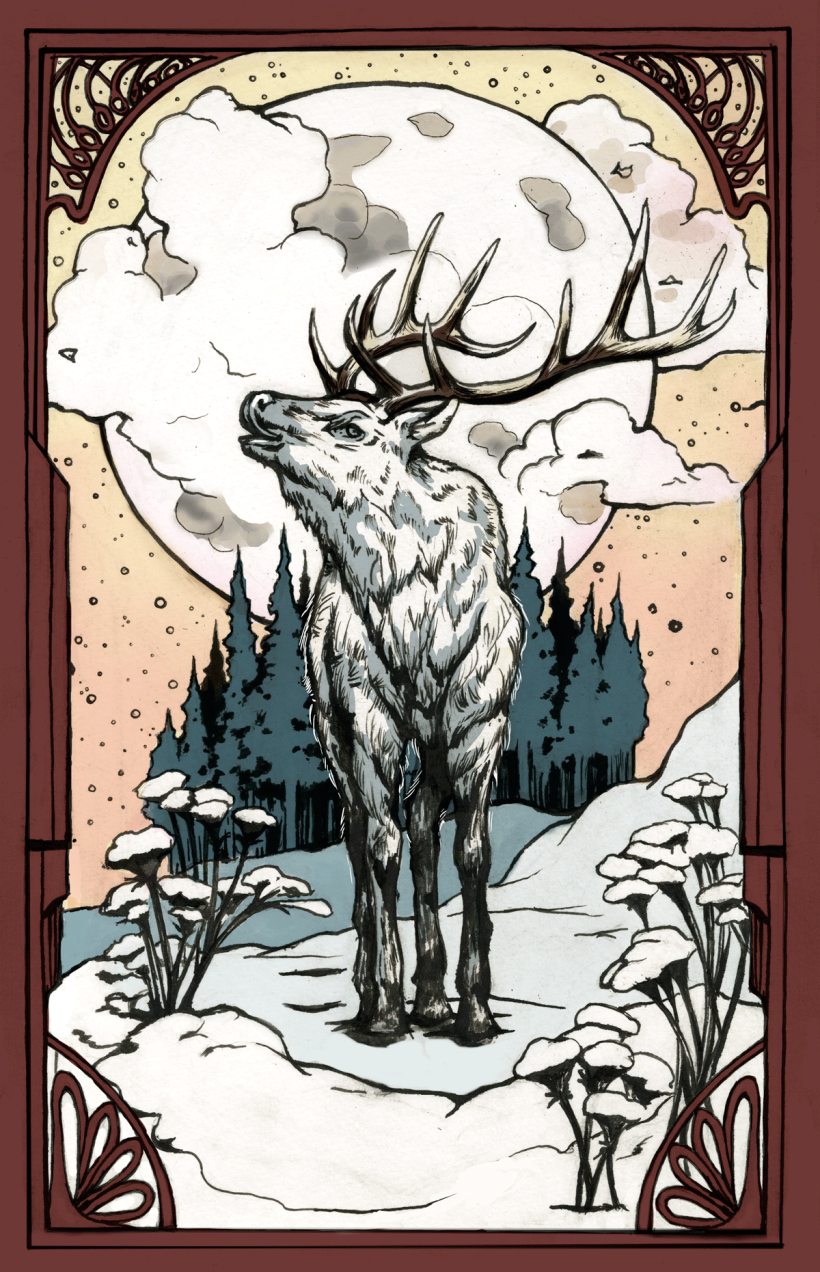 Moose Illustration -1
