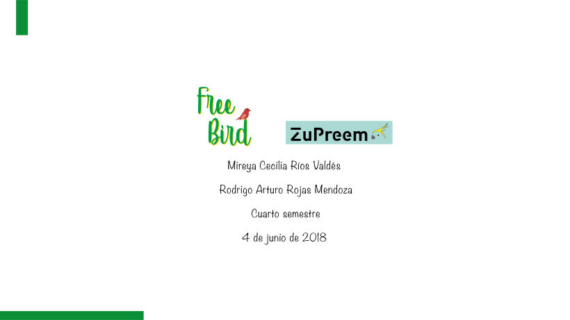 Proyecto marca free bird en conjunto con Cecilia Rios  -1
