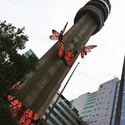 Mariposas Chilensis. Intervención urbana. 2