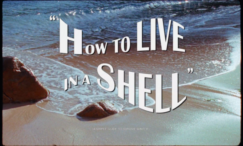 Gimaguas - How to live in a shell 8