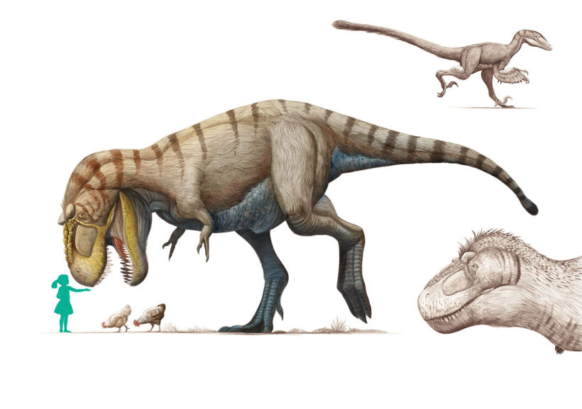 Composición de los elementos de ilustración del spread de los dinosaurios terópodos como antecesores de las aves.