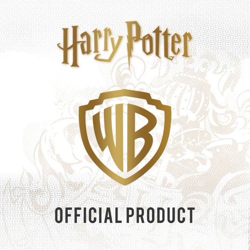 Harry Potter x Correo Postage Boxes 14