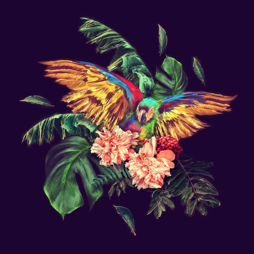 Macaw instagram @chito_vfx